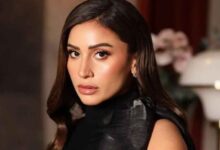 صورة النجمة دينا الشربيني تتألق وتسجل حضورها القوي في دراما رمضان بمسلسل اتنين غيرنا