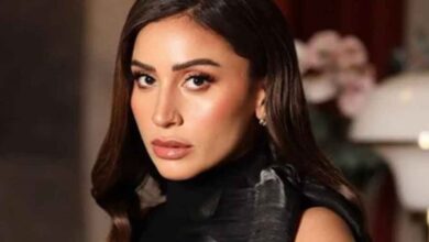 صورة النجمة دينا الشربيني تتألق وتسجل حضورها القوي في دراما رمضان بمسلسل اتنين غيرنا